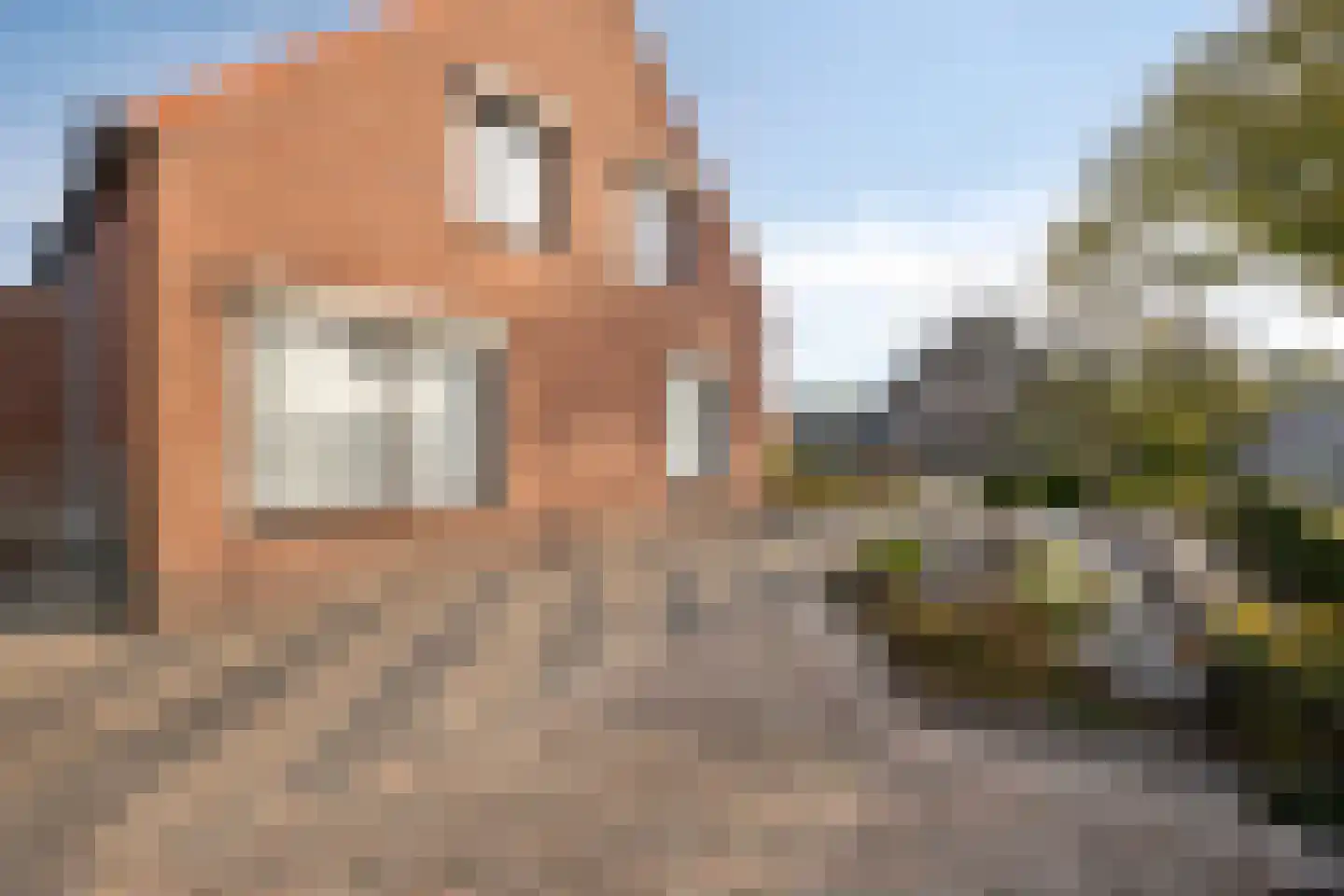 Vlieterdijk 22 Luyksgestel thumbnail 36