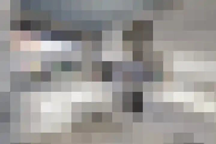 Vlietestein 2 Nieuw-Vennep thumbnail 4