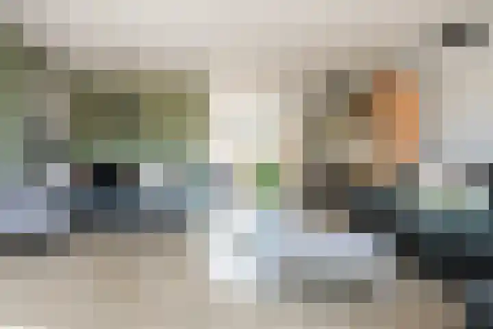 Vlietestein 29 Nieuw-Vennep thumbnail 12