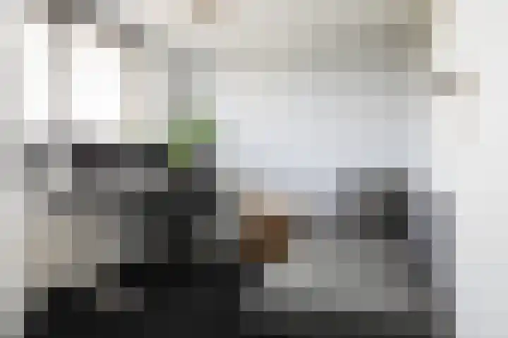 Vlietestein 29 Nieuw-Vennep thumbnail 29