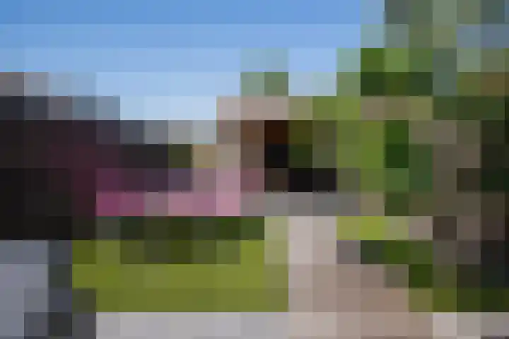 Vlietestein 29 Nieuw-Vennep thumbnail 34