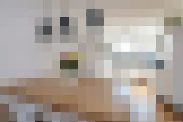 Vlietestein 3 Nieuw-Vennep thumbnail 12