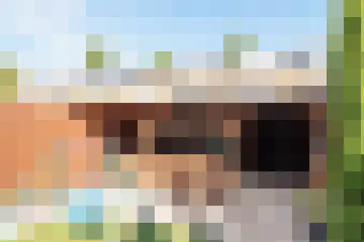 Vlietestein 3 Nieuw-Vennep thumbnail 31