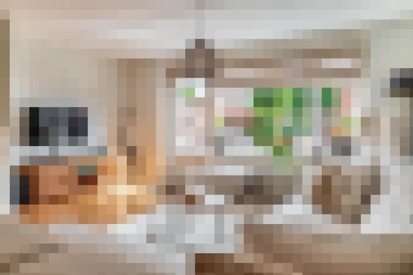 Vliethof 12 Ouderkerk aan den IJssel thumbnail 12