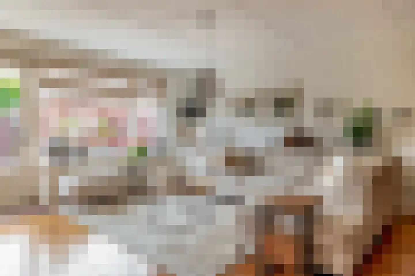 Vliethof 12 Ouderkerk aan den IJssel thumbnail 13