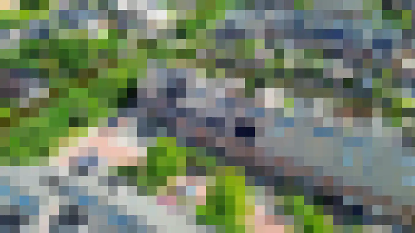 Vliethof 12 Ouderkerk aan den IJssel thumbnail 62