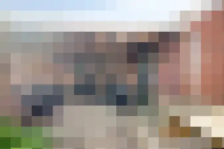 Vliethof 12 Terheijden thumbnail 22