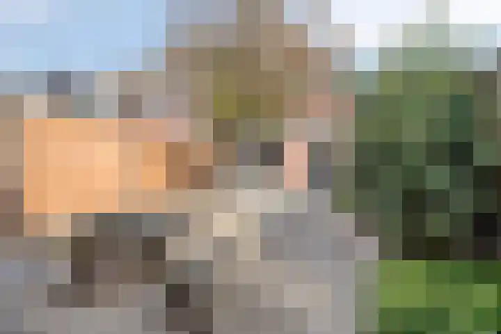 Vliethof 12 Terheijden thumbnail 23