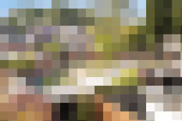 Vliethof 12 Terheijden thumbnail 25