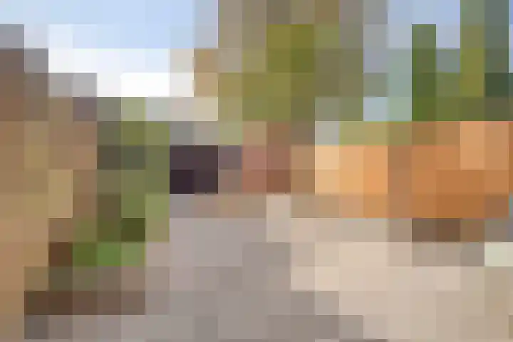 Vliethof 12 Terheijden thumbnail 5