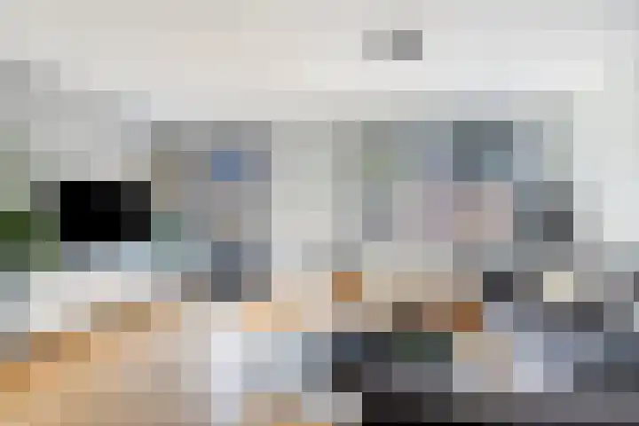 Vliethof 12 Terheijden thumbnail 8