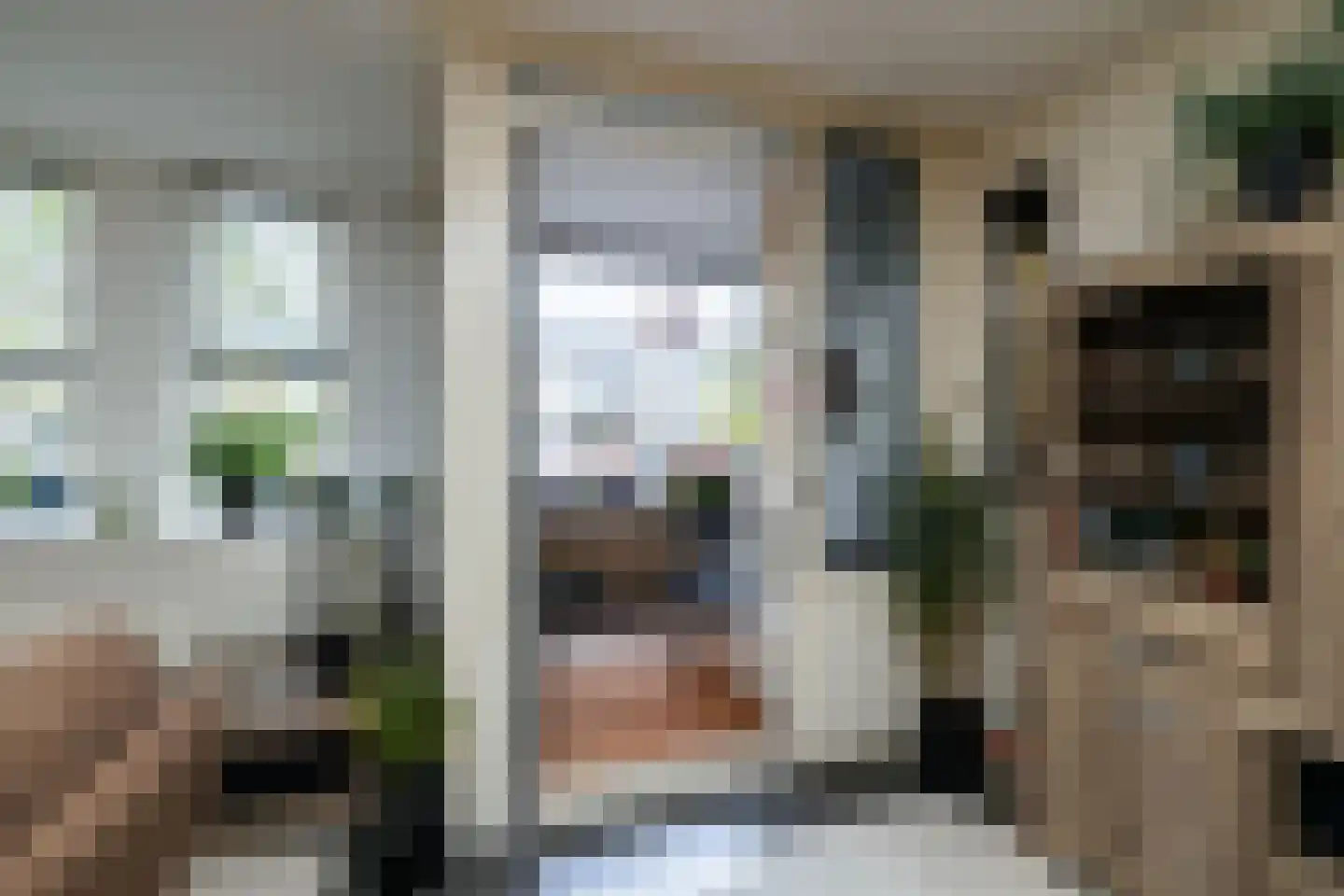 Vliethof 32 Wateringen thumbnail 13
