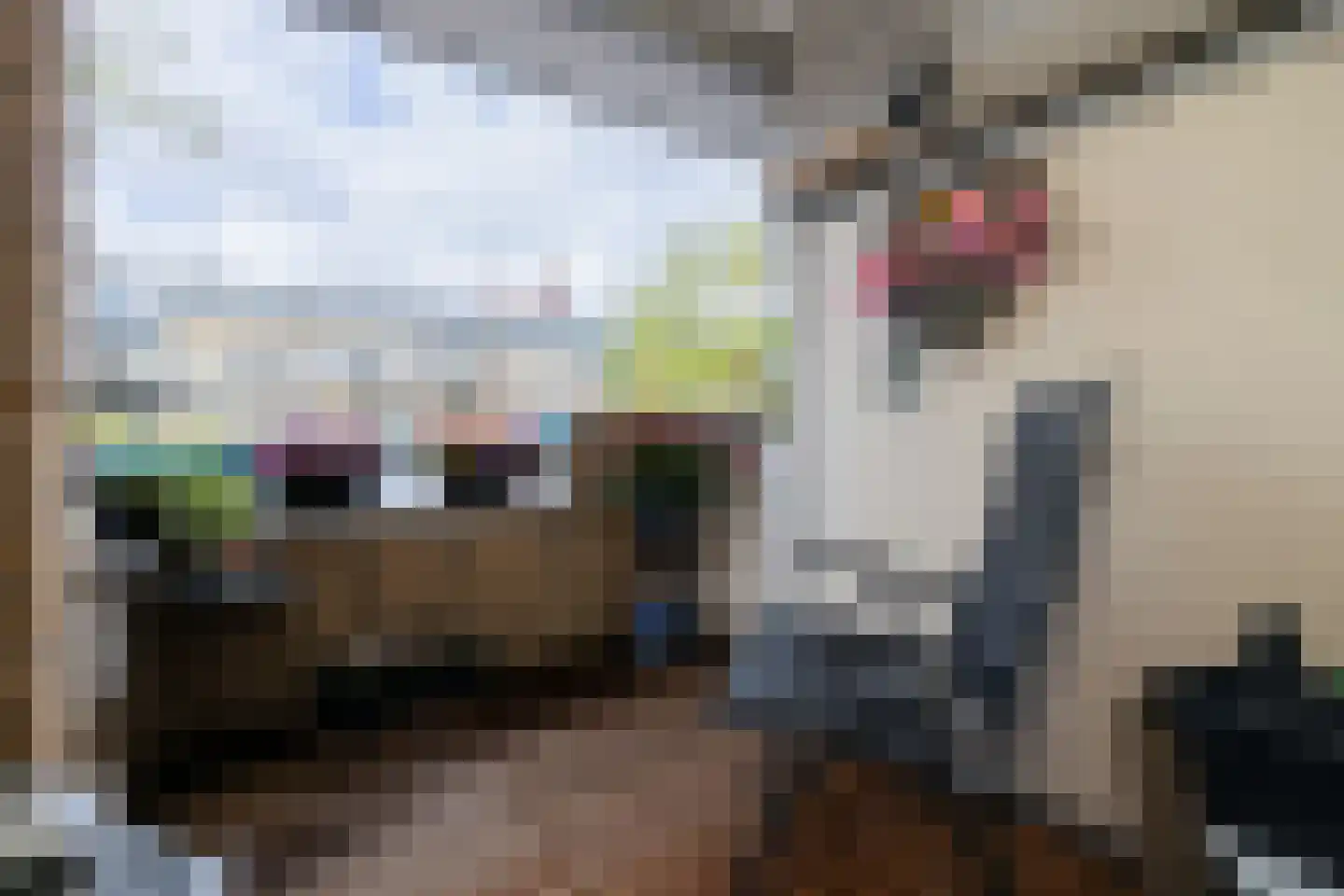 Vliethof 32 Wateringen thumbnail 14