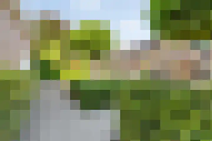 Vliethof 41 Terheijden thumbnail 10