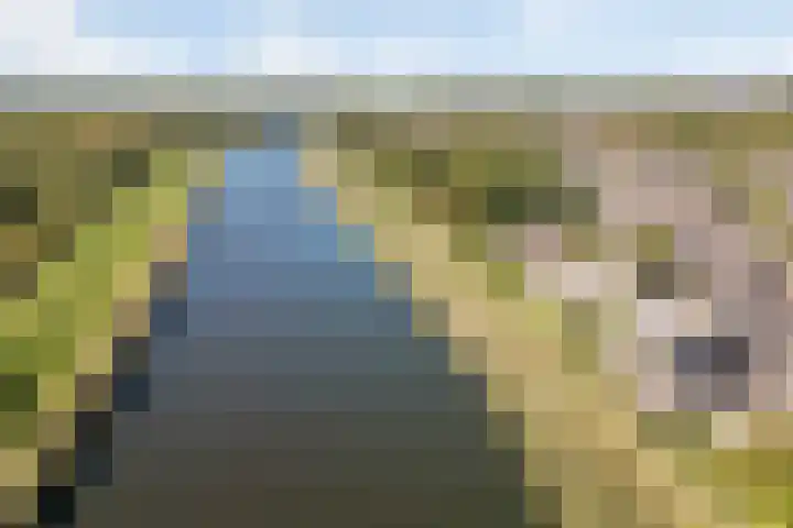 Vliethof 41 Terheijden thumbnail 100