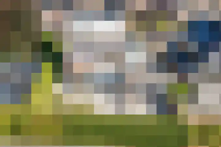 Vliethof 41 Terheijden thumbnail 101