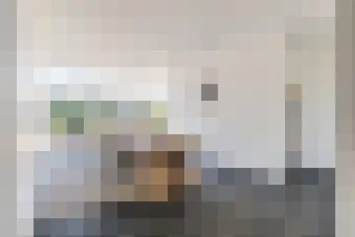 Vliethof 41 Terheijden thumbnail 27