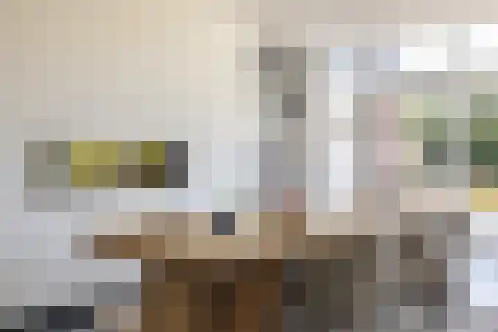 Vliethof 41 Terheijden thumbnail 29