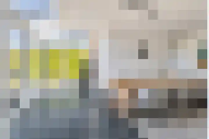 Vliethof 41 Terheijden thumbnail 34
