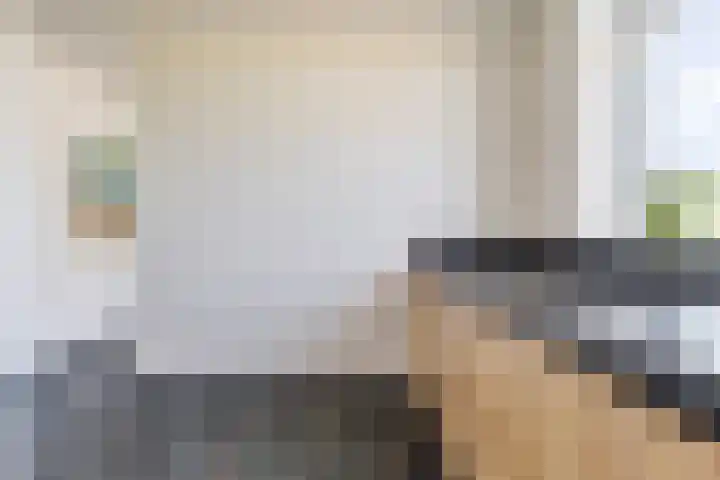 Vliethof 41 Terheijden thumbnail 38