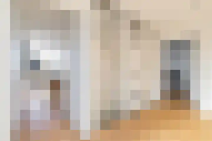 Vliethof 41 Terheijden thumbnail 41