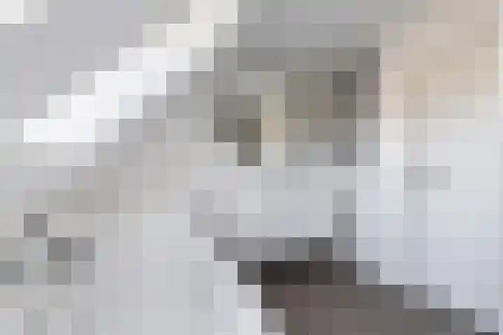 Vliethof 41 Terheijden thumbnail 5