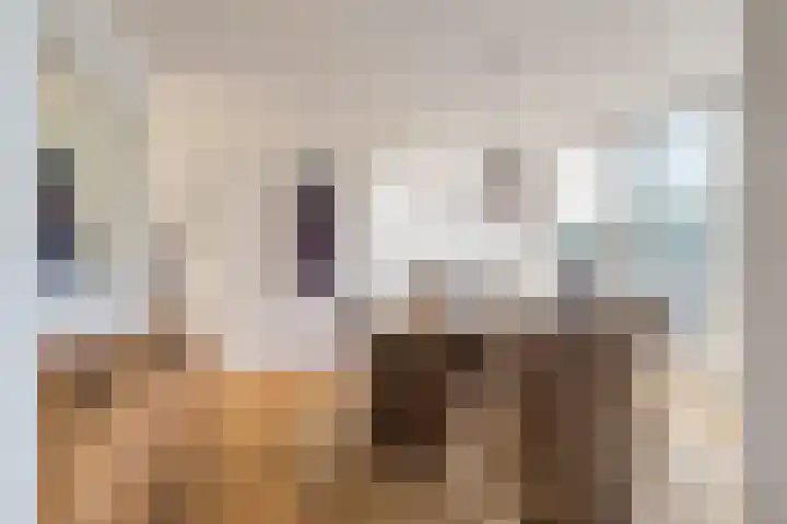 Vliethof 41 Terheijden thumbnail 51