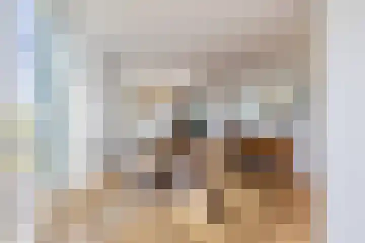 Vliethof 41 Terheijden thumbnail 53