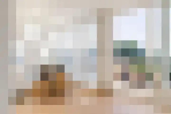 Vliethof 41 Terheijden thumbnail 55
