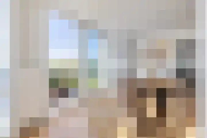 Vliethof 41 Terheijden thumbnail 57