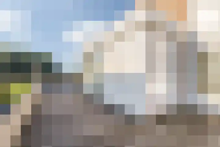 Vliethof 41 Terheijden thumbnail 59