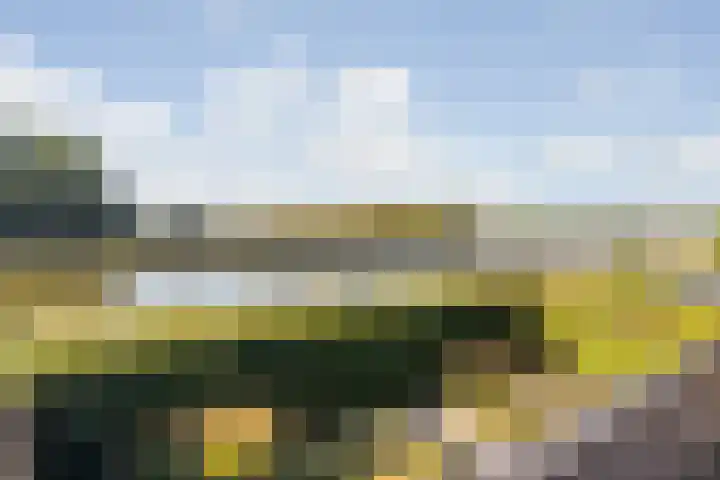 Vliethof 41 Terheijden thumbnail 61