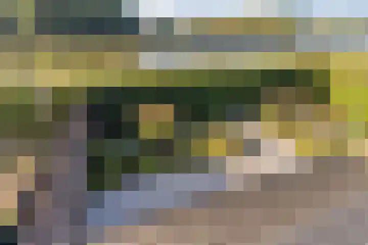 Vliethof 41 Terheijden thumbnail 62