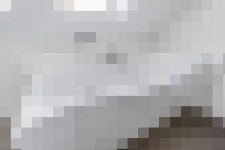 Vliethof 41 Terheijden thumbnail 71