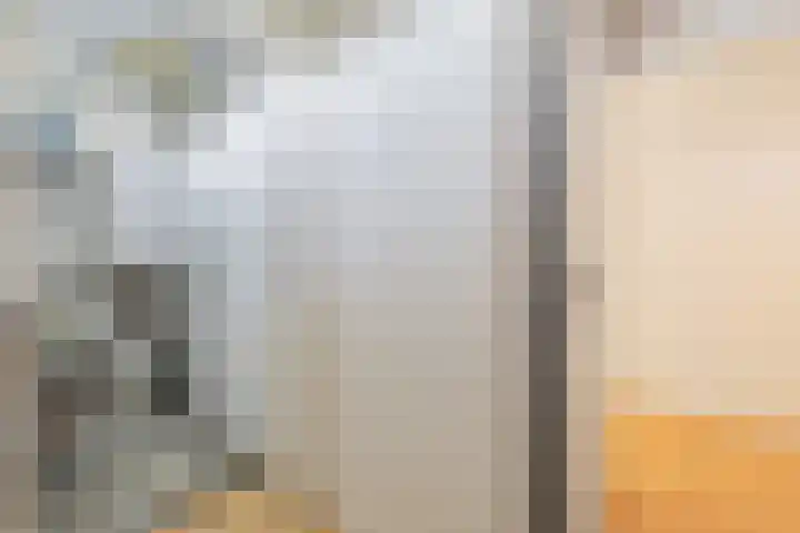 Vliethof 41 Terheijden thumbnail 76