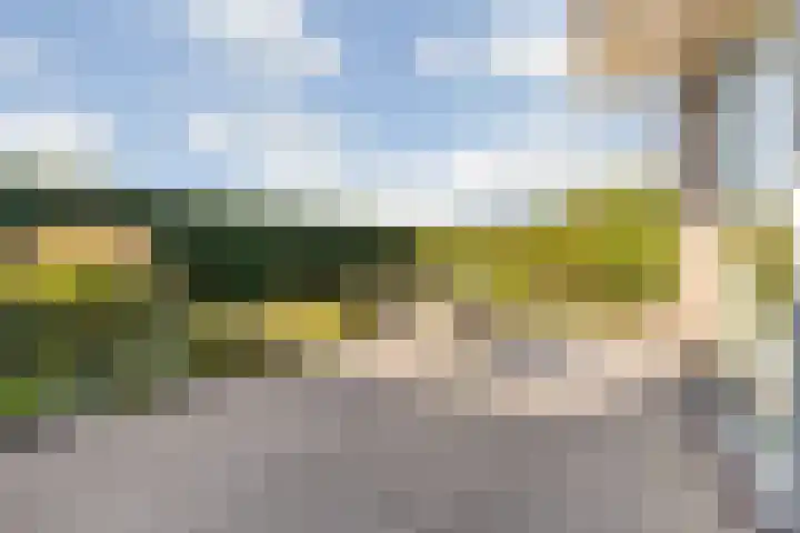 Vliethof 41 Terheijden thumbnail 86
