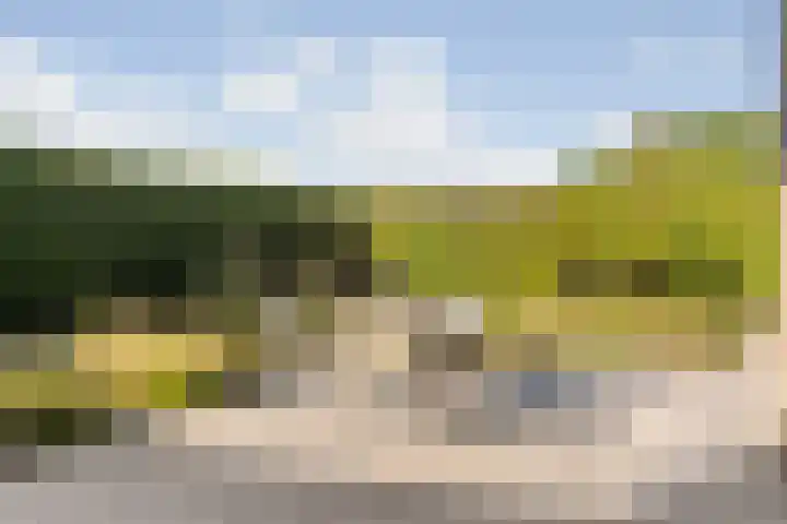 Vliethof 41 Terheijden thumbnail 87