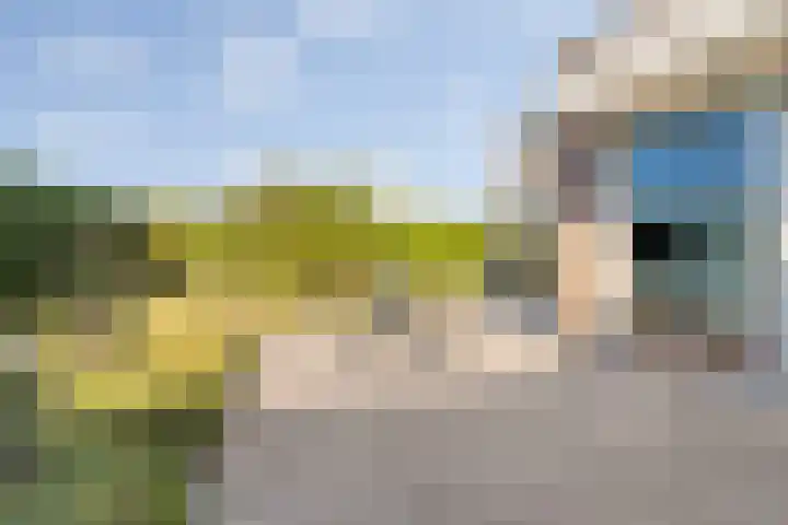 Vliethof 41 Terheijden thumbnail 88