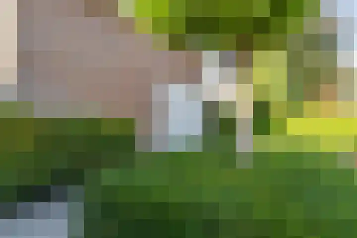 Vliethof 41 Terheijden thumbnail 9