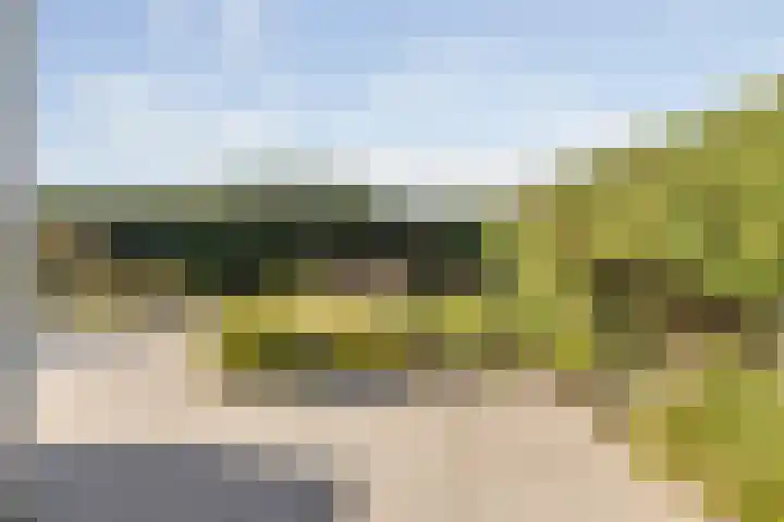 Vliethof 41 Terheijden thumbnail 92