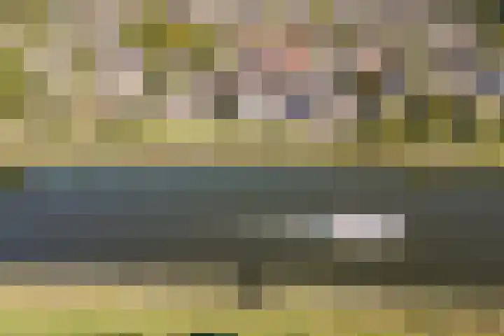 Vliethof 41 Terheijden thumbnail 95