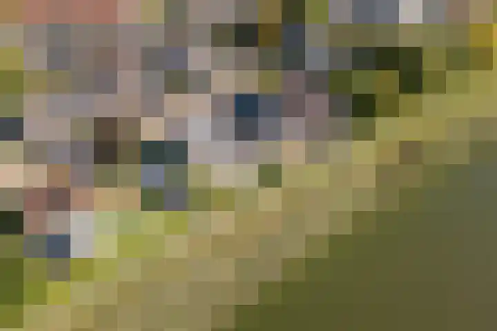 Vliethof 41 Terheijden thumbnail 96