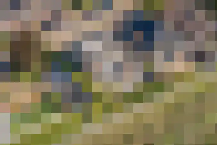 Vliethof 41 Terheijden thumbnail 97