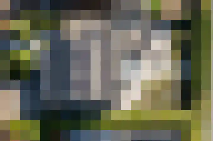 Vliethof 41 Terheijden thumbnail 98