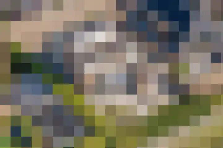 Vliethof 41 Terheijden thumbnail 99