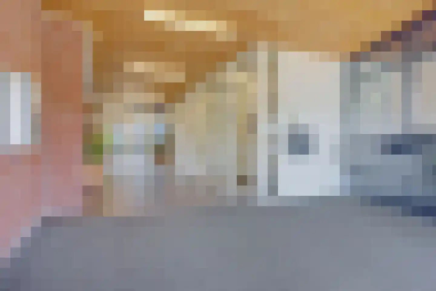 Vliethof 41 Tholen thumbnail 10