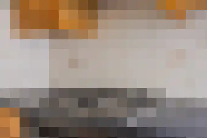 Vliethof 44 Terheijden thumbnail 15