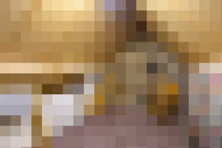 Vliethof 44 Terheijden thumbnail 30