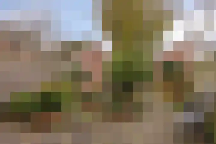 Vliethof 44 Terheijden thumbnail 31