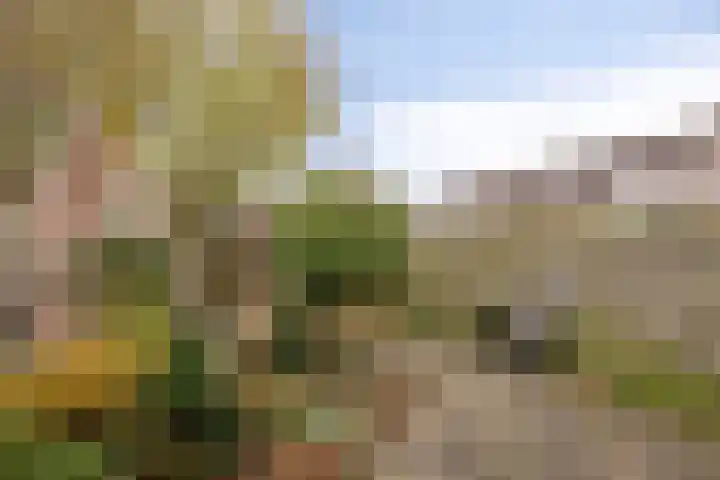 Vliethof 44 Terheijden thumbnail 32